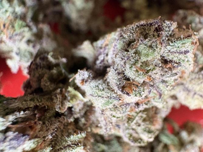 ✨ Strawberry Skilla – Terp Explosion. Week 14