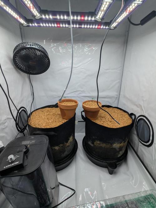 Living Soil Pots 2. Runde. Week 0