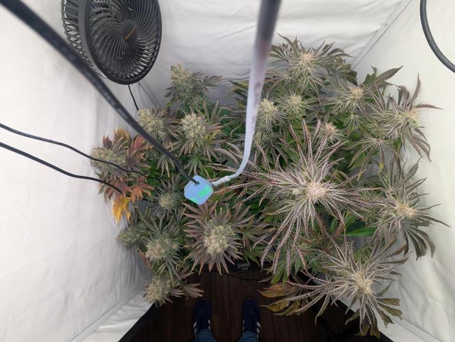 Classic AK 47 und Modern Bloodsport. Week 15