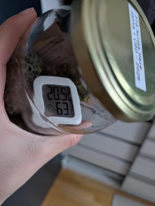 Nuttea Haze 50x50. Week 15