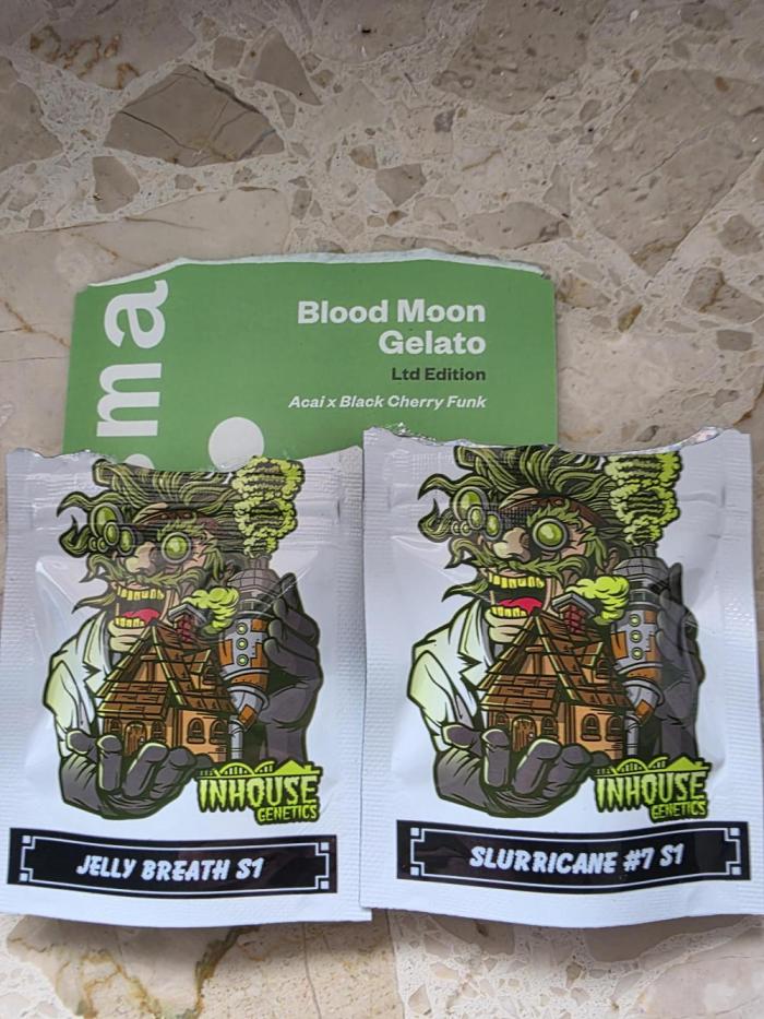 Slurricane#7 x B.M.Gelato x Jelly Breath. Week 0