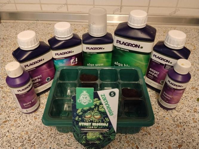 Eternity Grow Cup 2026. Week 0