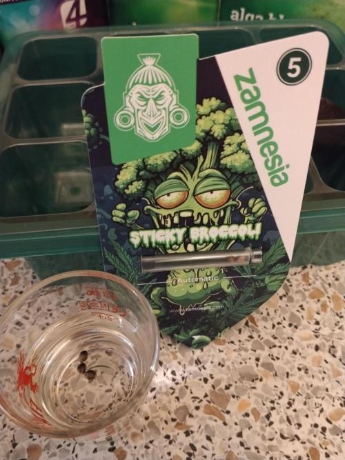 Eternity Grow Cup 2026. Week 0