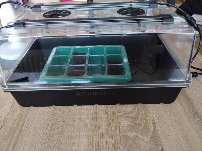 Eternity Grow Cup 2026. Week 0