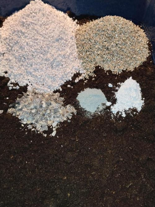 Eternity Grow Cup 2026. Week 1 - 12 Liter Plagron Promix mit 1l Perlite und 0,5l Vermiculite 