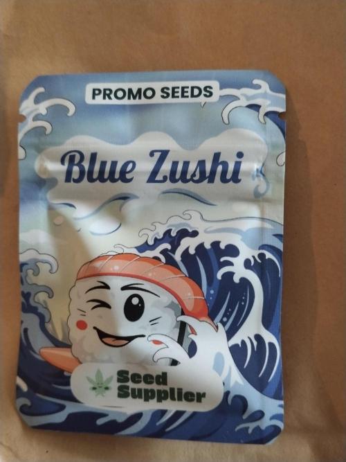 Promo Seeds MJ 2026. Week 0
