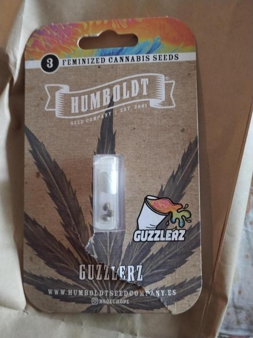 Guzzlerz. Week 0