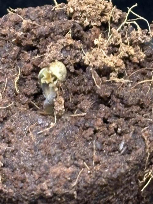 Oh kush - we’ll see. Week 0