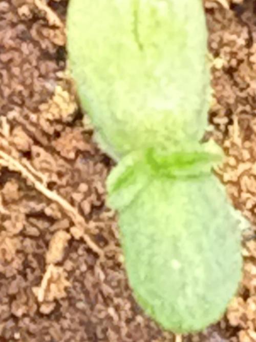 Oh kush - we’ll see. Week 0