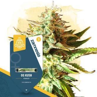 Oh kush - we’ll see. Week 0