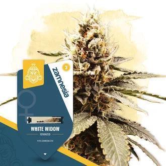 White widow. Week 0