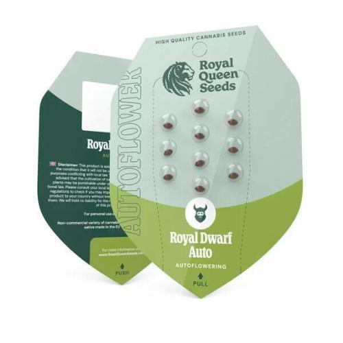 Royal dwarf. Week 0