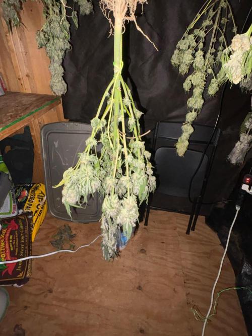 Oh kush - we’ll see. Week 14