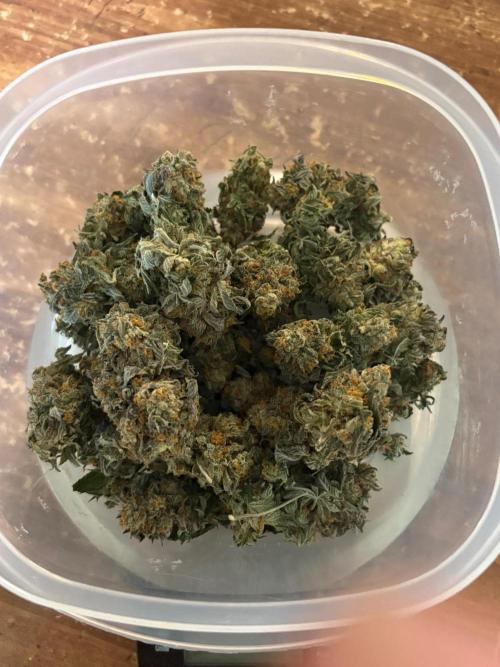 Oh kush - we’ll see. Week 14