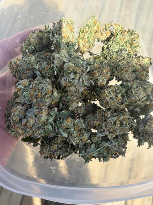 Oh kush - we’ll see. Week 14