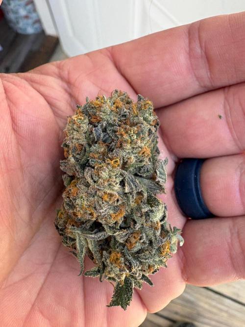 Oh kush - we’ll see. Week 14