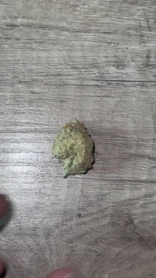 Blue Cheese by Barneysfarm (first Grow)