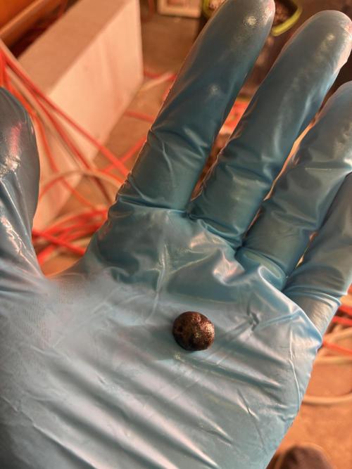 3 Cherry Poppers, mainlining,. Week 17