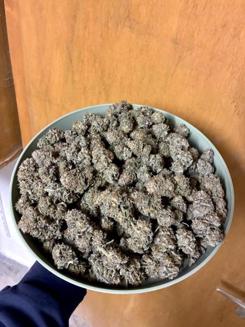 3 Cherry Poppers, mainlining,. Week 17