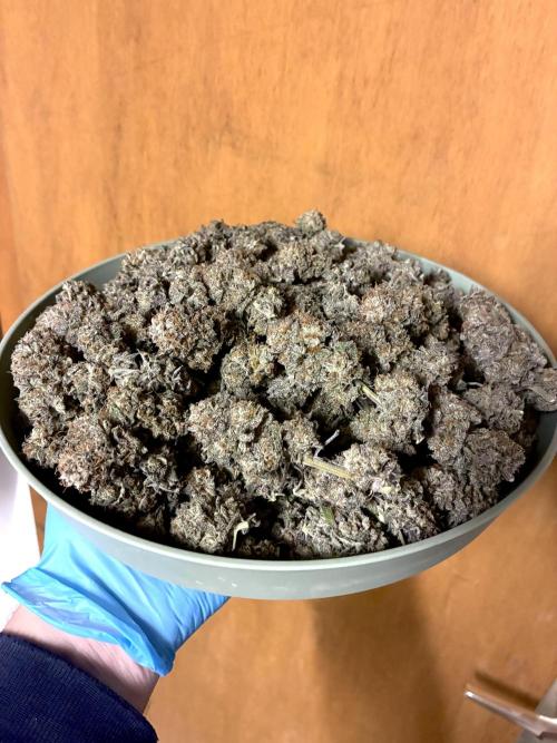 3 Cherry Poppers, mainlining,. Week 17