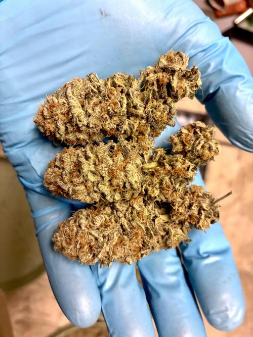 3 Cherry Poppers, mainlining,. Week 17