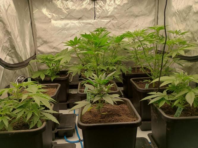 Fullgas vs Exodus Cheese. Week 4 - 1