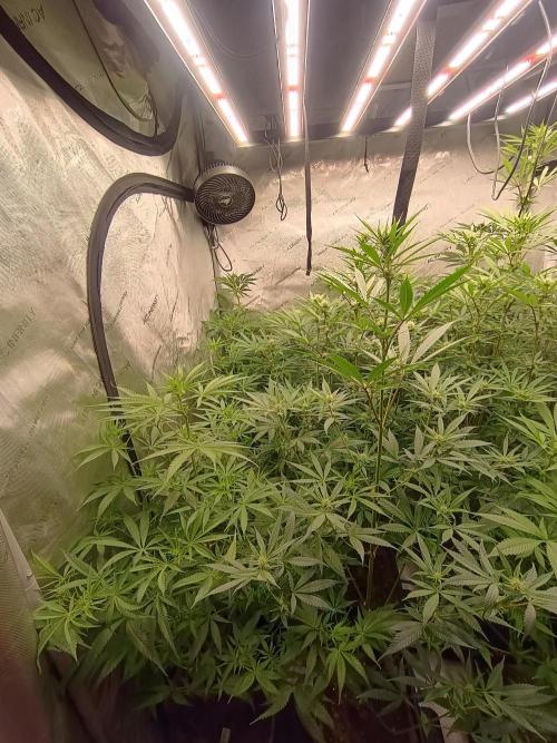 Fullgas vs Exodus Cheese. Week 8 - 1