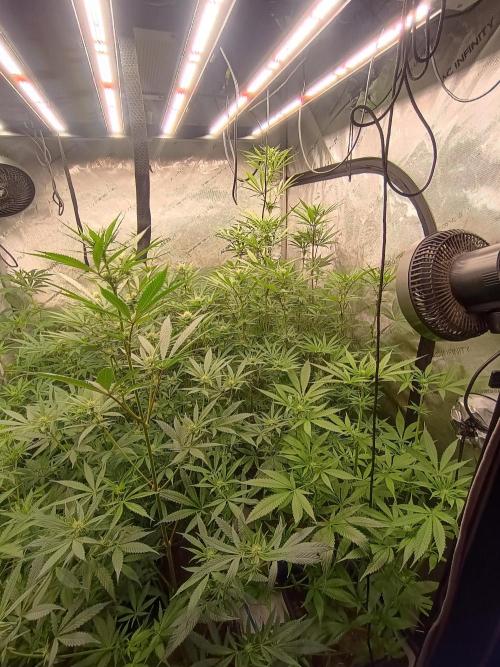 Fullgas vs Exodus Cheese. Week 8 - 2