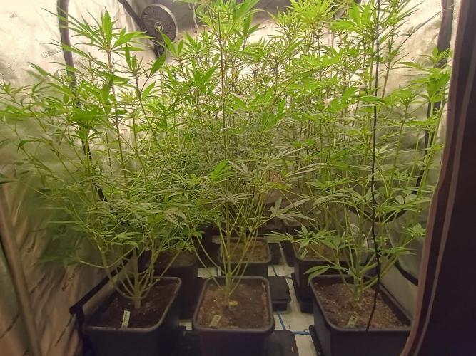 Fullgas vs Exodus Cheese. Week 8 - 3