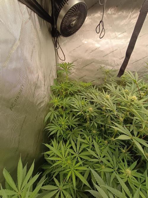 Fullgas vs Exodus Cheese. Week 8 - 5