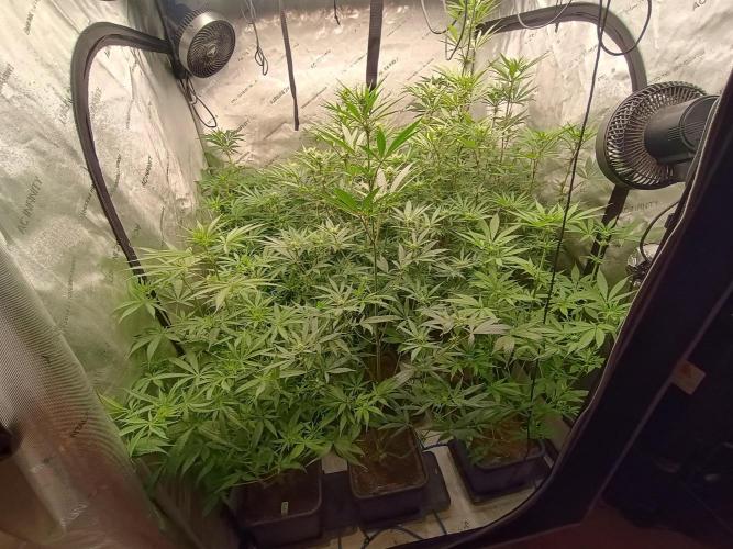 Fullgas vs Exodus Cheese. Week 8 - 9