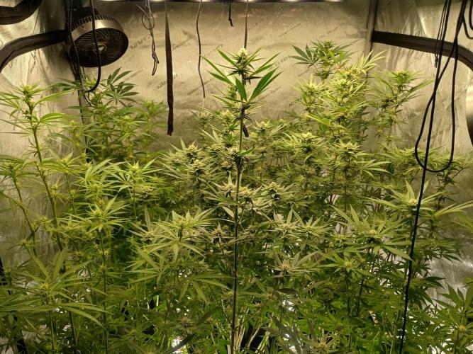 Fullgas vs Exodus Cheese. Week 9 - All