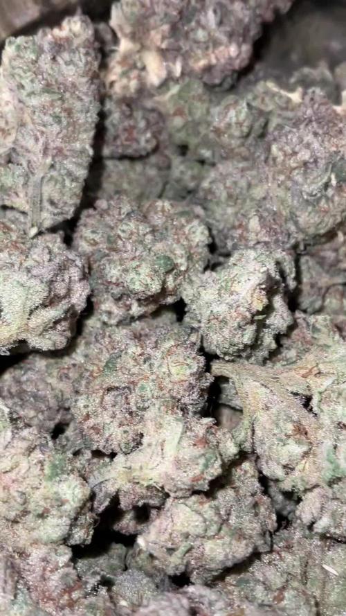 Lets Test some Strains