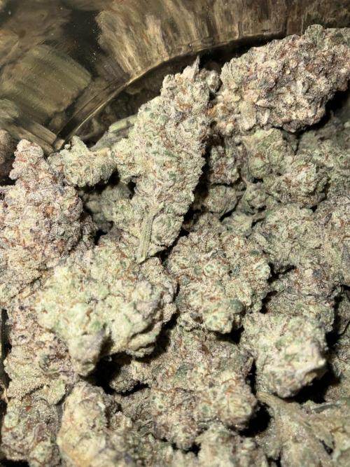 Lets Test some Strains. Week 16