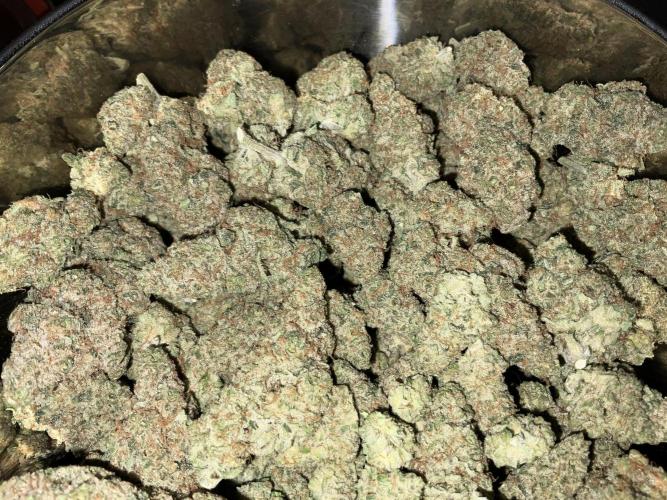 Lets Test some Strains. Week 16 - icc