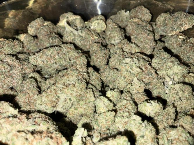 Lets Test some Strains. Week 16 - icc