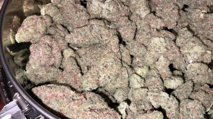 Lets Test some Strains