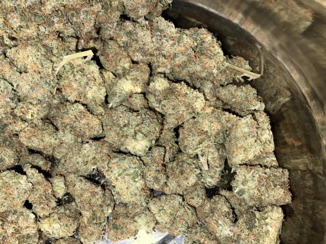 Lets Test some Strains. Week 16 - ak