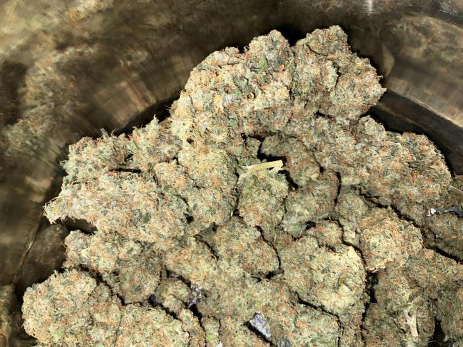 Lets Test some Strains. Week 16