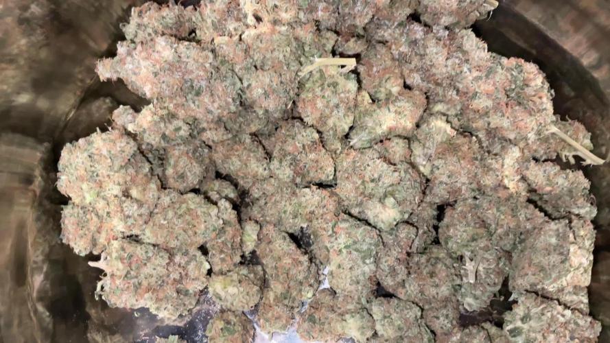 Lets Test some Strains