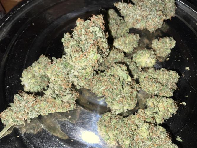 Lets Test some Strains. Week 16