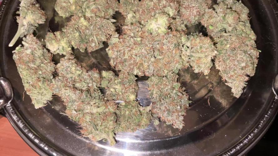 Lets Test some Strains