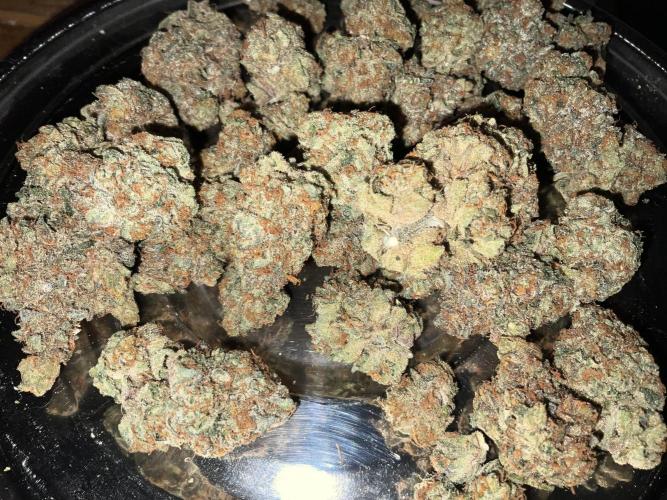 Lets Test some Strains. Week 16 - Wizard Fuel