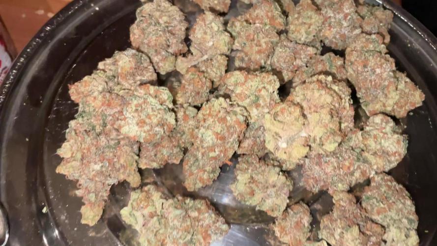 Lets Test some Strains