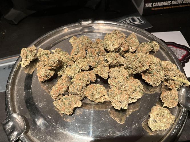 Fullgas vs Exodus Cheese. Week 13 - 1