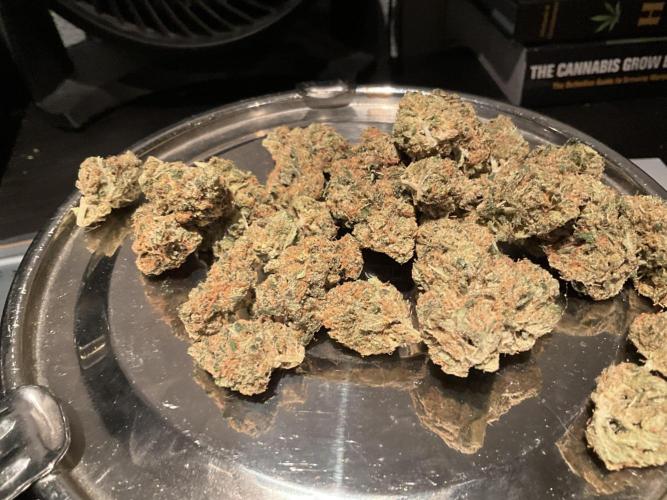 Fullgas vs Exodus Cheese. Week 13 - 2