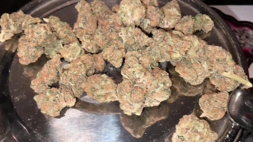 Fullgas vs Exodus Cheese