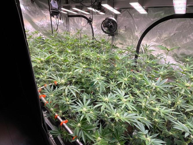 Route65 Clone run. Week 6