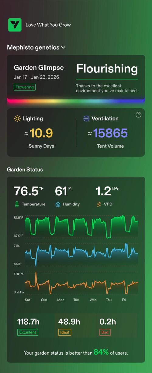 Mephisto genetics. Week 6