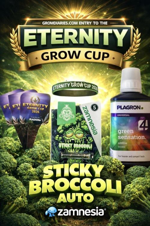 Eternity GrowCup 2026. Week 0 - Here we go !!!!